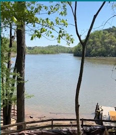 A river view from the photograph sent with the East Cobb homebuyer's testimonial